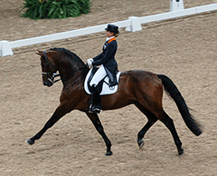 Dressage test