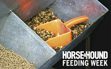 Horse-and-hound-feeding-week2