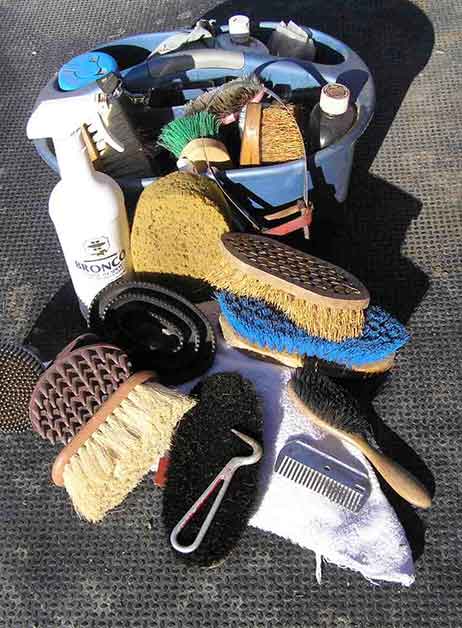 Horse Grooming Tools