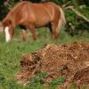 horse-manure